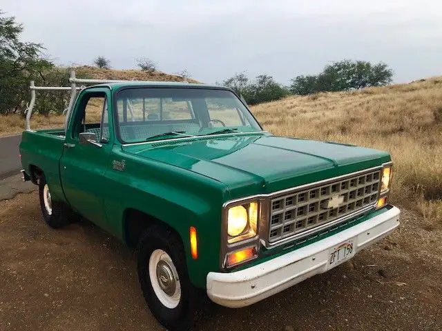 1980 Chevrolet Other Pickups