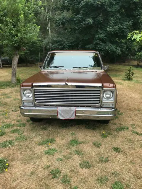 1980 Chevrolet Other Pickups