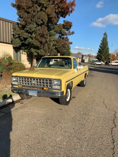 1980 Chevrolet C-10