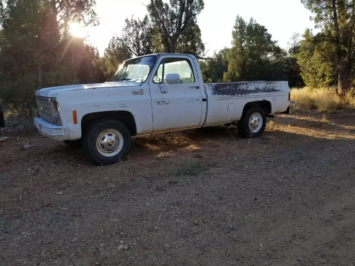 1980 Chevrolet Other Pickups Custom Deluxe