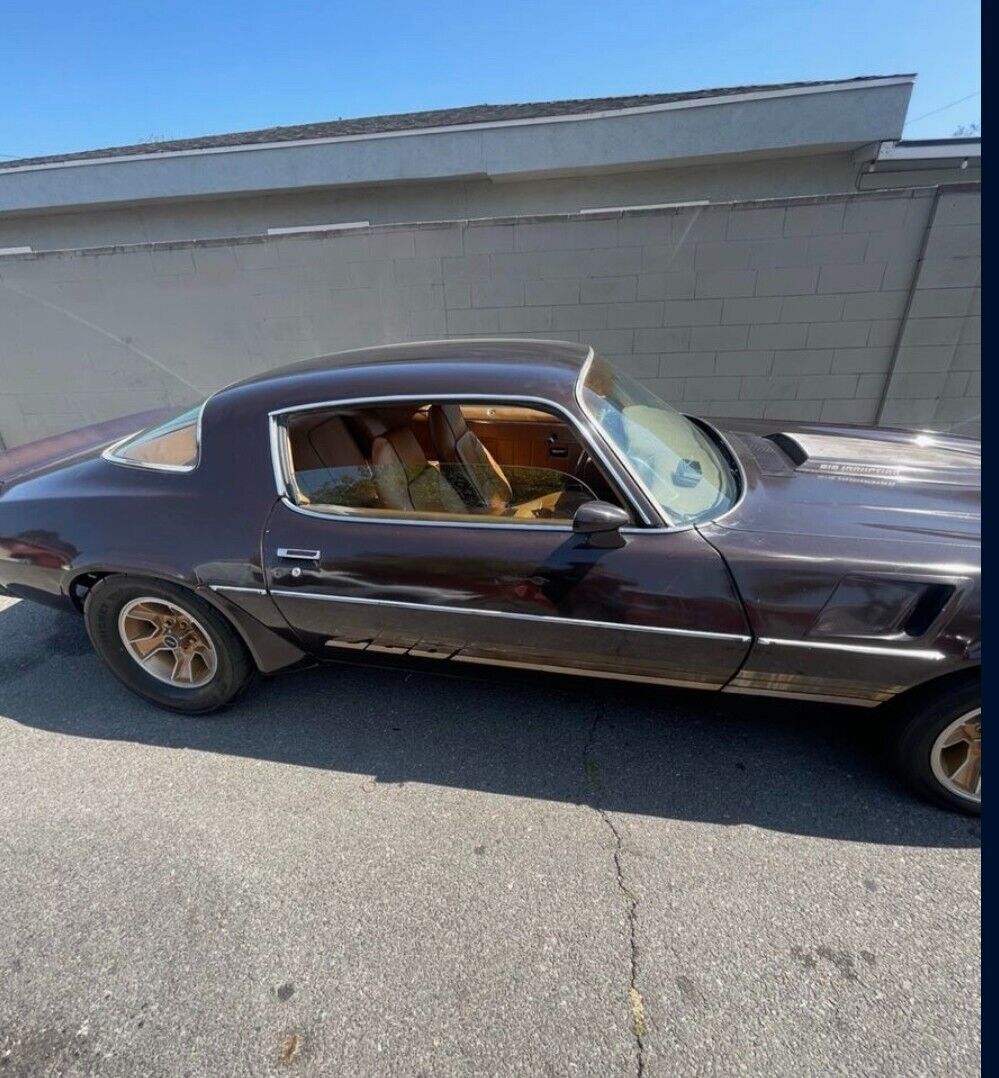 1980 Chevrolet Camaro