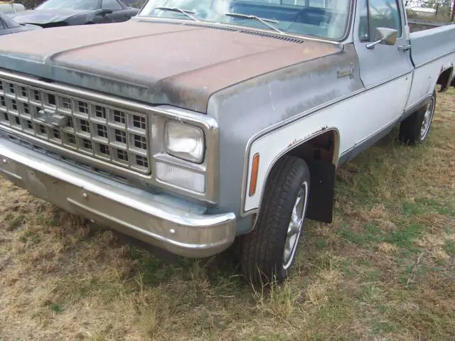 1980 Chevrolet Other Pickups