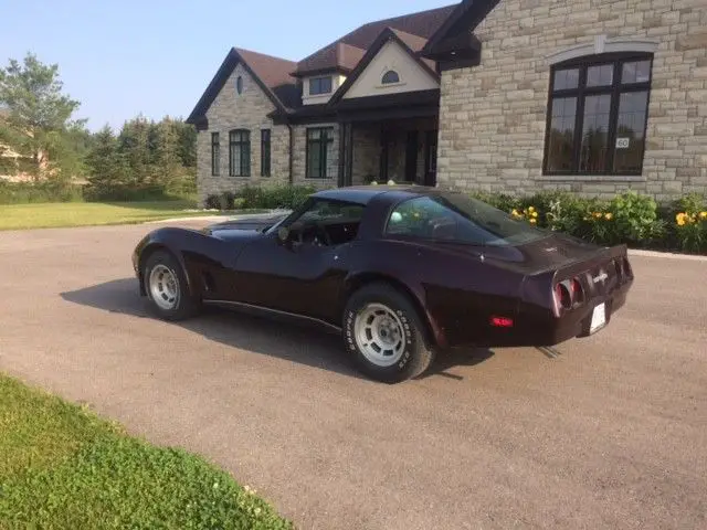 1980 Chevrolet Corvette Base Coupe 2-Door