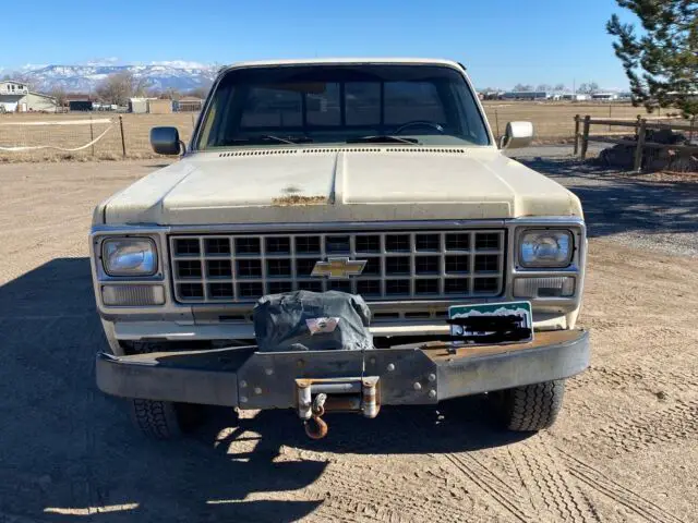 1980 Chevrolet Half-Ton Silverado