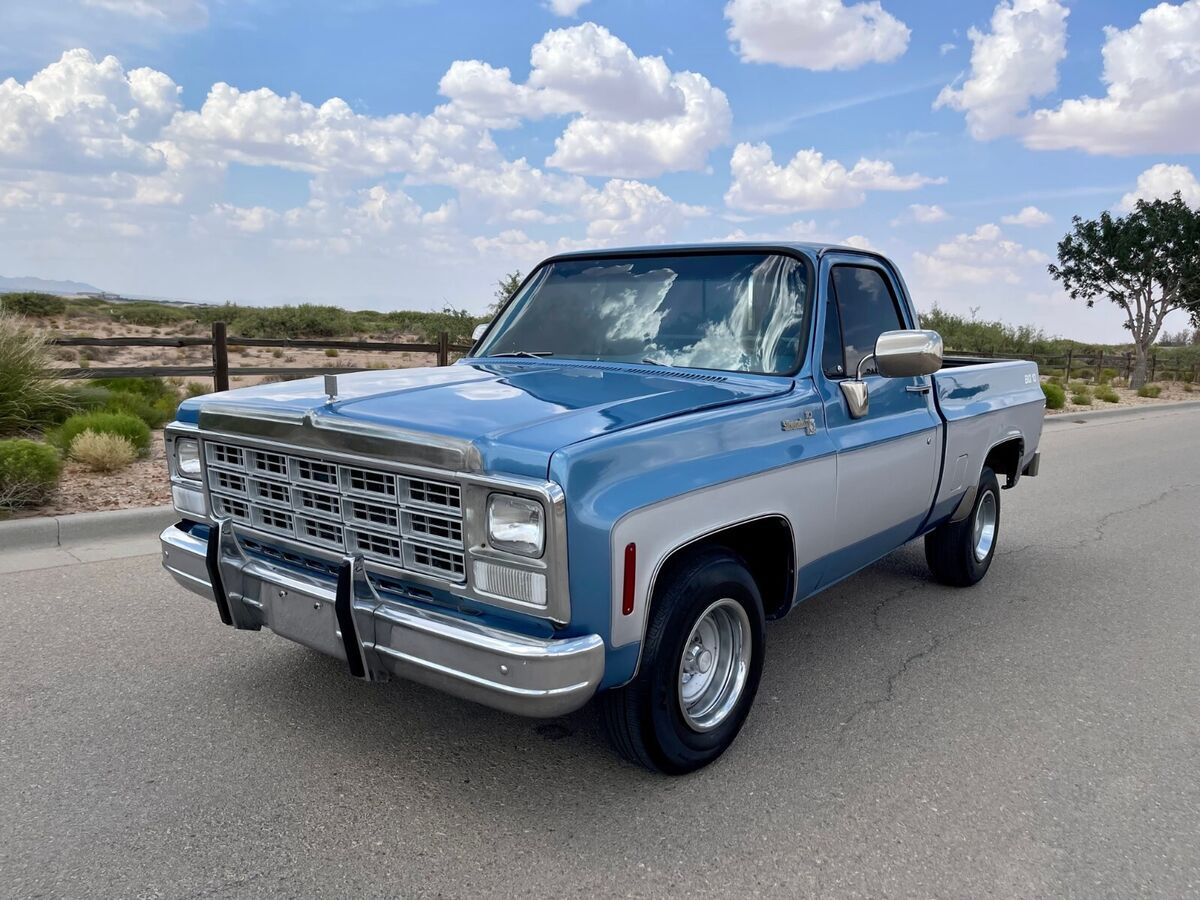 1980 Chevrolet Silverado 1500 C10 Big 10