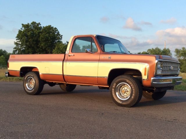 1980 Chevrolet C/K Pickup 1500