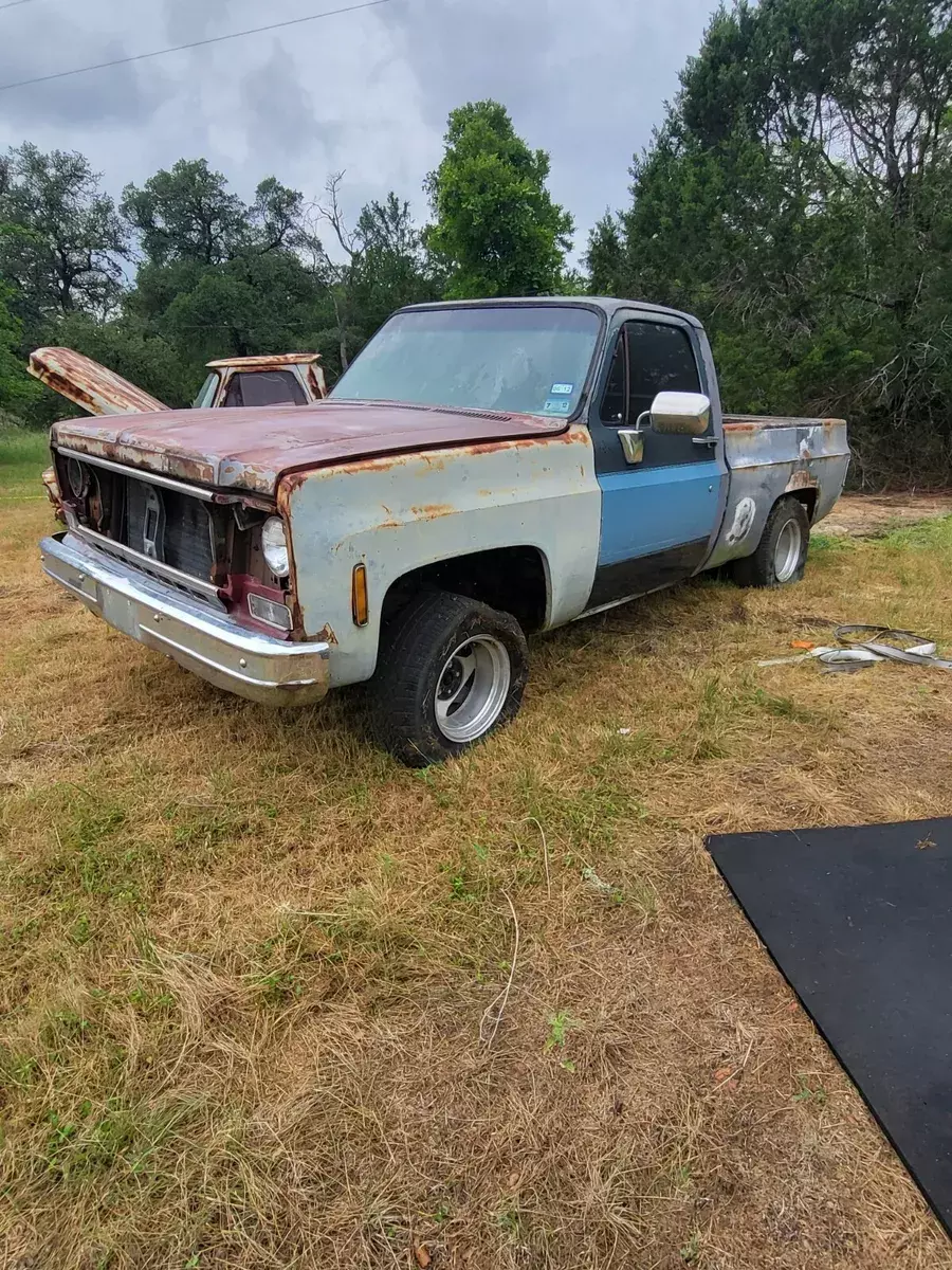 1980 Chevrolet Other Pickups