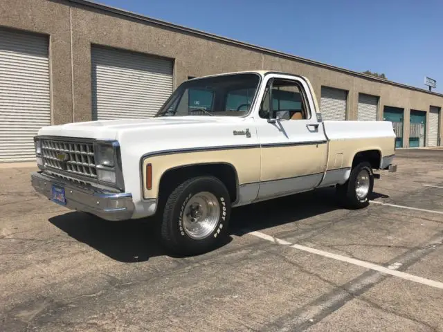 1980 Chevrolet C-10 SILVERADO