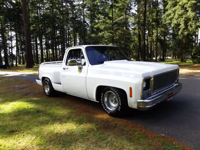 1980 Chevrolet C-10