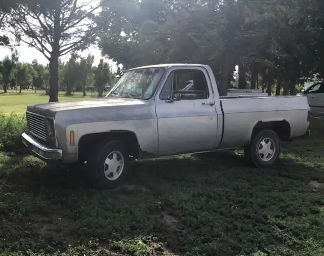 1980 Chevrolet C-10