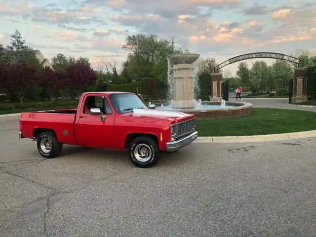 1980 Chevrolet C-10