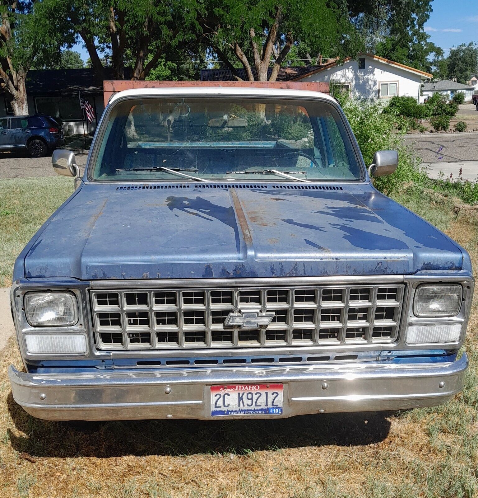 1980 Chevrolet C-10