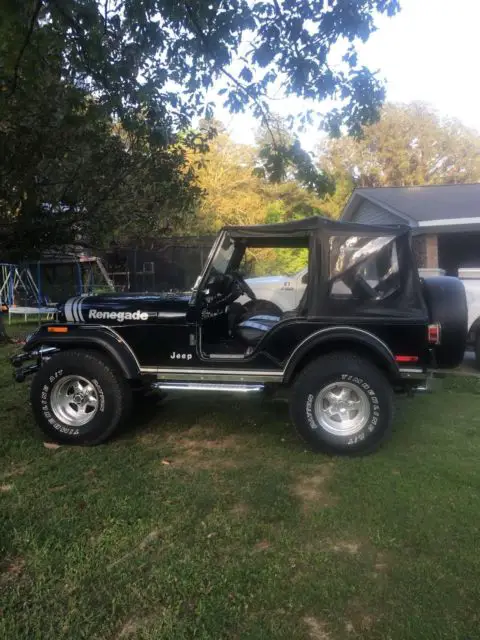 1980 Jeep CJ