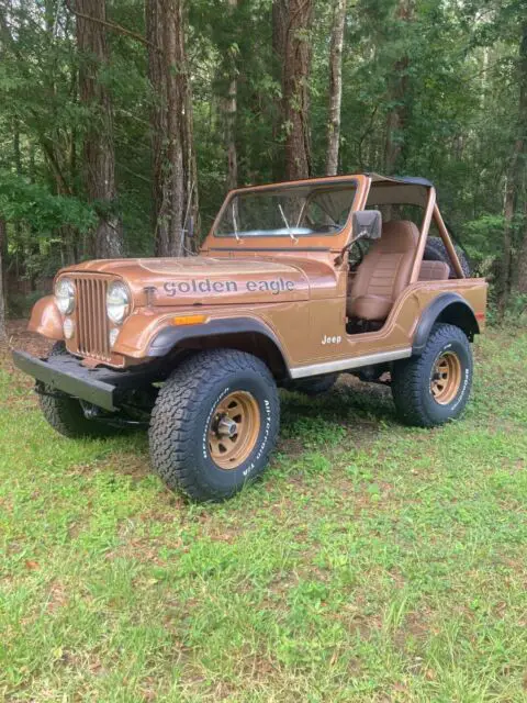 1980 Jeep CJ