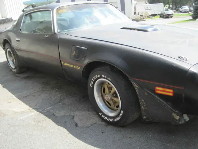 1980 Pontiac Trans Am BLACK  HARD TOP