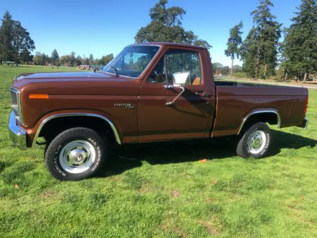 1980 Ford F-150 F150 custom