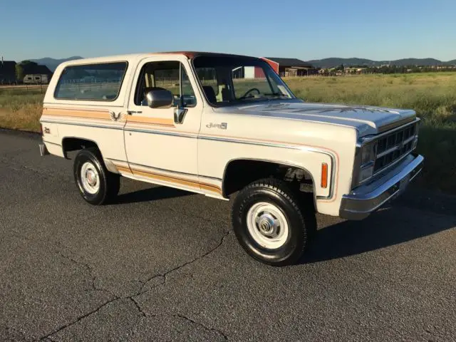 1980 GMC Jimmy K5 BLAZER SILVERADO SIERRA CLASSIC CHEVY TRUCK K10