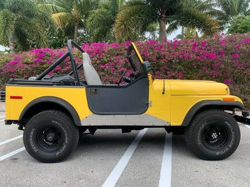 1980 Jeep CJ