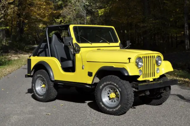 1980 Jeep CJ