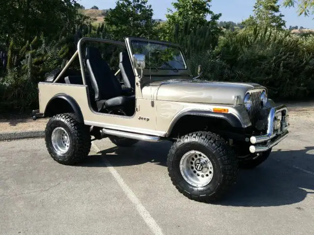 1980 Jeep CJ