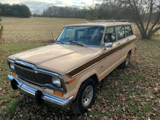 1980 Jeep Wagoneer