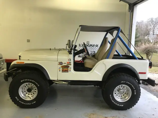 1980 Jeep Wrangler V8