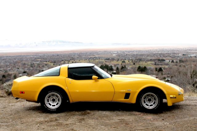 1980 Chevrolet Corvette LS