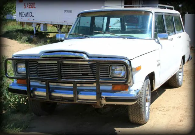 1980 Jeep Wagoneer