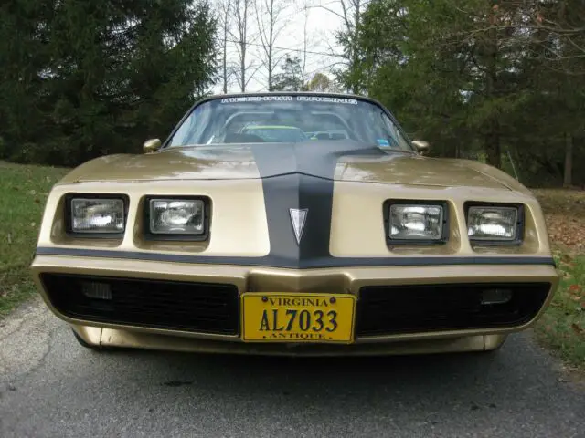 1980 Pontiac Trans Am DKM Macho Turbo