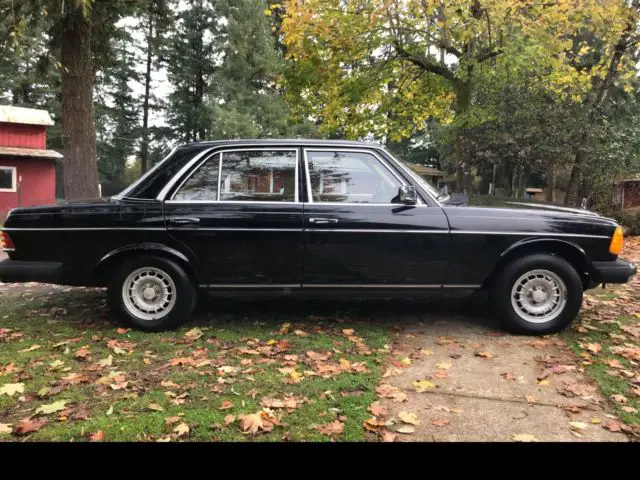 1981 Mercedes-Benz 300-Series