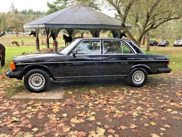 1981 Mercedes-Benz 300-Series