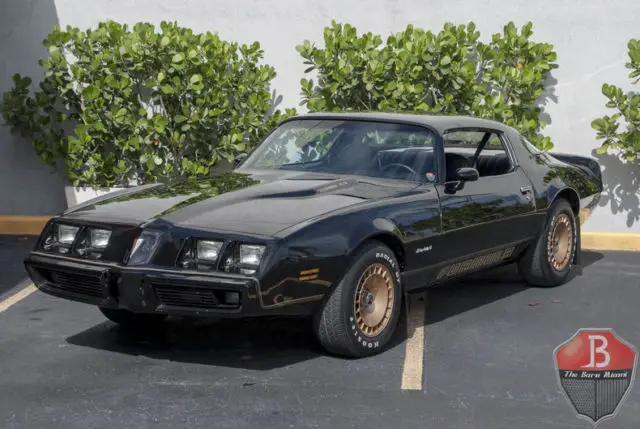 1980 Pontiac Firebird --