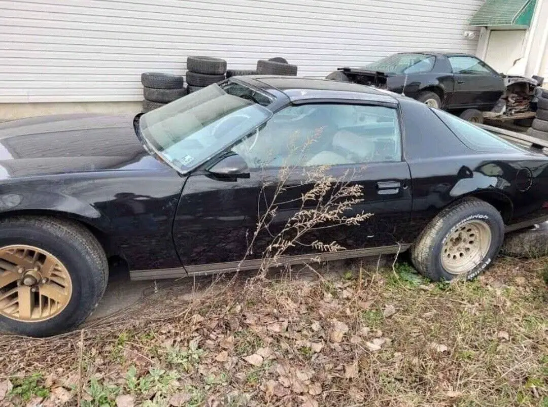 1980 Pontiac Firebird