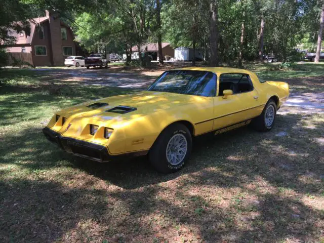 1980 Pontiac Firebird