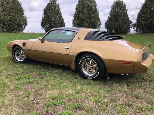 1980 Pontiac Firebird