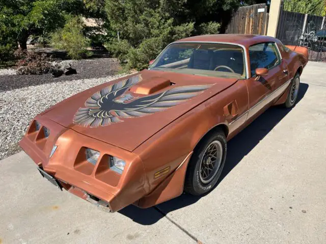 1980 Pontiac Firebird Trans Am