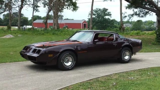 1980 Pontiac Firebird