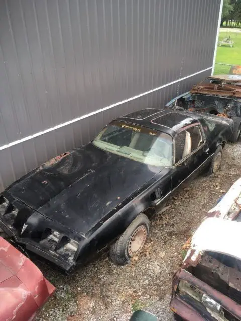 1980 Pontiac Trans Am SE Y84