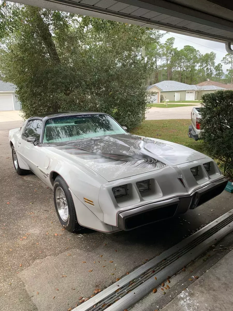 1980 Pontiac Firebird Pace Car