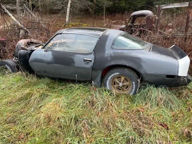 1980 Pontiac Trans Am y84