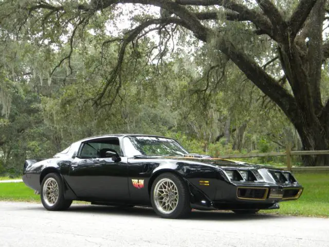 1980 Pontiac Trans Am FIRE-AM PACKAGE