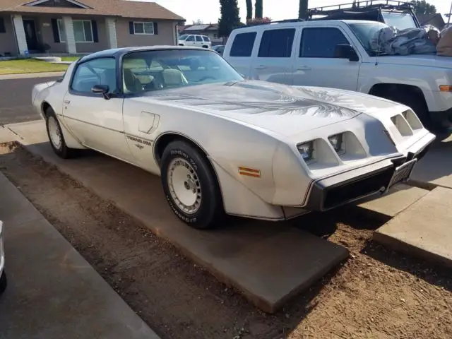 1980 Pontiac Trans Am Indy 500 Pace car