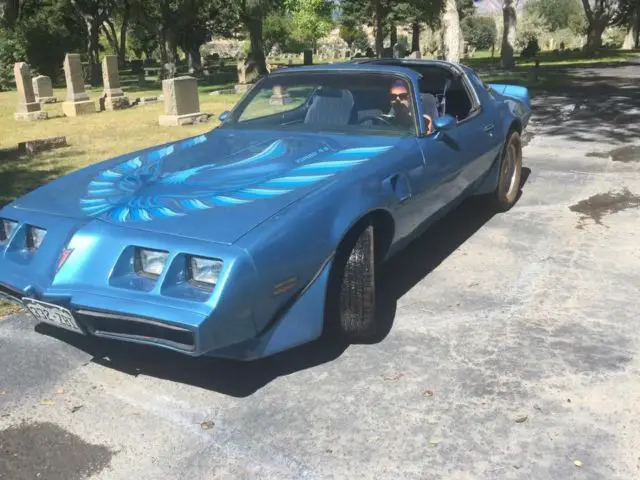 1980 Pontiac Firebird Trans Am