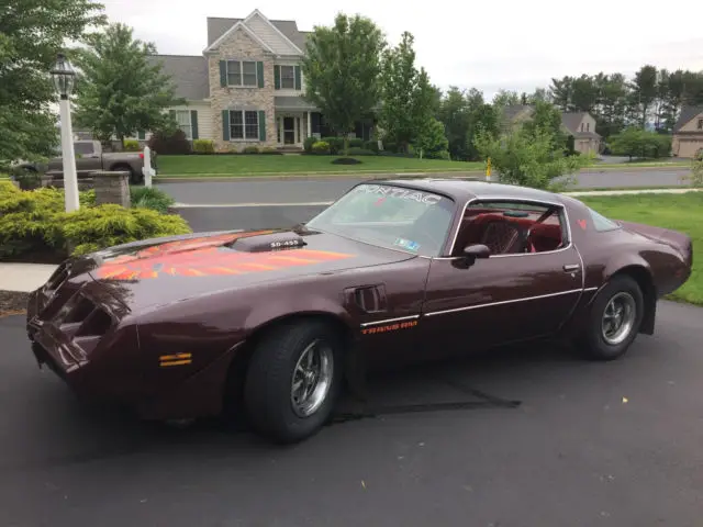 1980 Pontiac Trans Am T-Tops