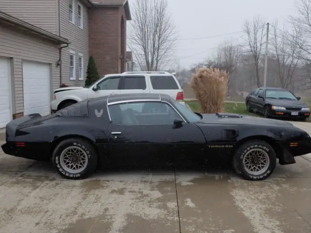 1980 Pontiac Trans Am Trans Am