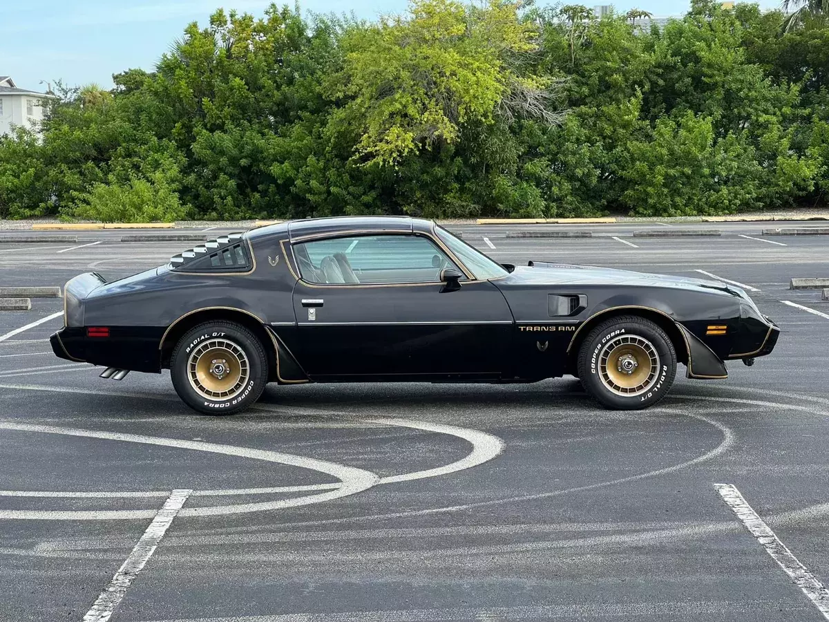 1980 Pontiac Trans Am Low miles.  Survivor.