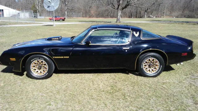 1980 Pontiac Firebird 2 door coupe