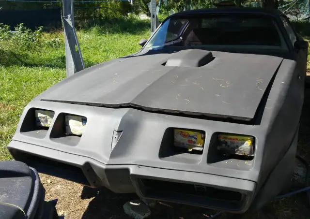 1980 Pontiac Trans Am Trans AM