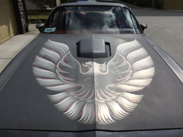 1980 Pontiac Firebird Trans Am