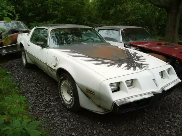 1980 Pontiac Trans Am